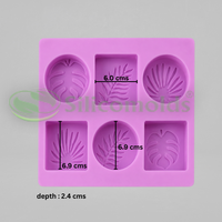 SILICOMOLDS - 100GMS - OVAL & RECTANGLE LEAF SOAP MOLD - 6 CAVITIES - URP417SM